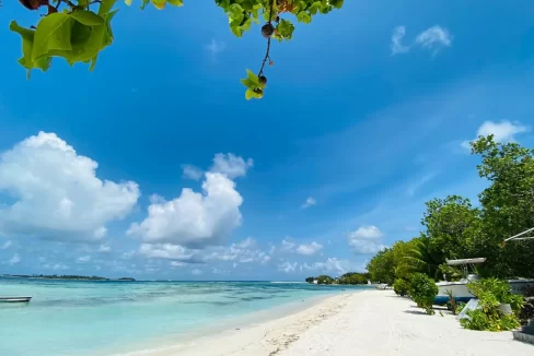 Land for sale in Himmafushi, Kaafu Atoll – 2 adjoining plots (3200 sq.ft) near the beach. Ideal for home or guesthouse investment. MVR 5.2M inclusive.